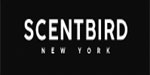 ScentBird-CouponRoots.com